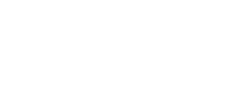 Learning Engineering Institute Logo